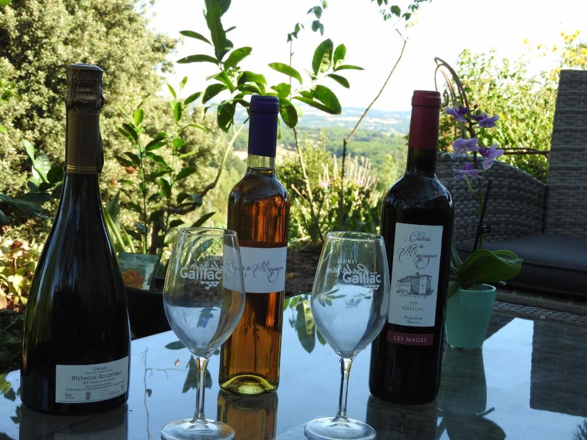 La Dame Fines Bed and Breakfast Puybegon Exterior foto